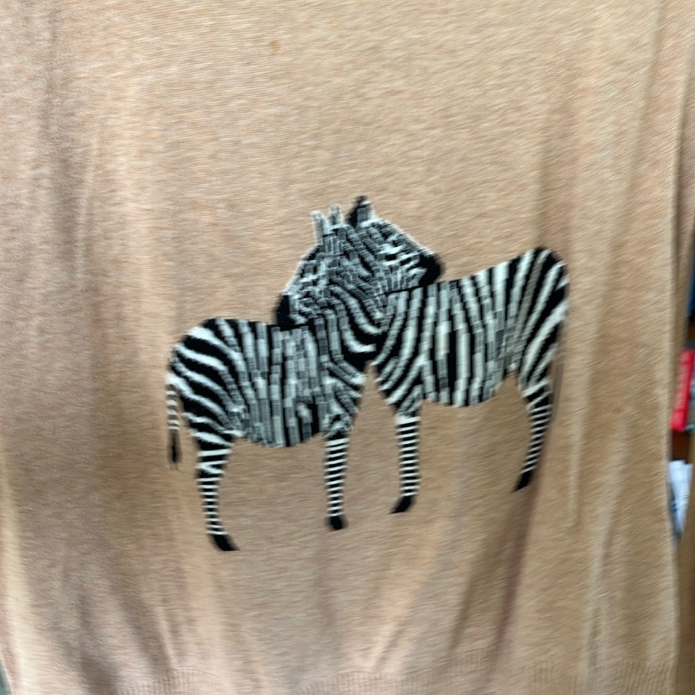 Madewell Zebra sweater